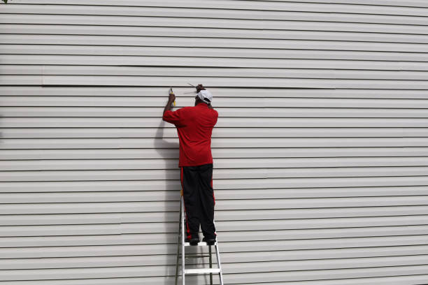 Best Siding Removal and Disposal  in Chamberlayne, VA