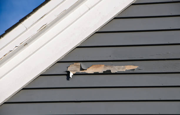 Best Custom Trim and Detailing for Siding  in Chamberlayne, VA