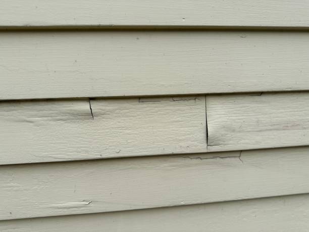 Reliable Chamberlayne, VA Siding Installation & Repair Solutions